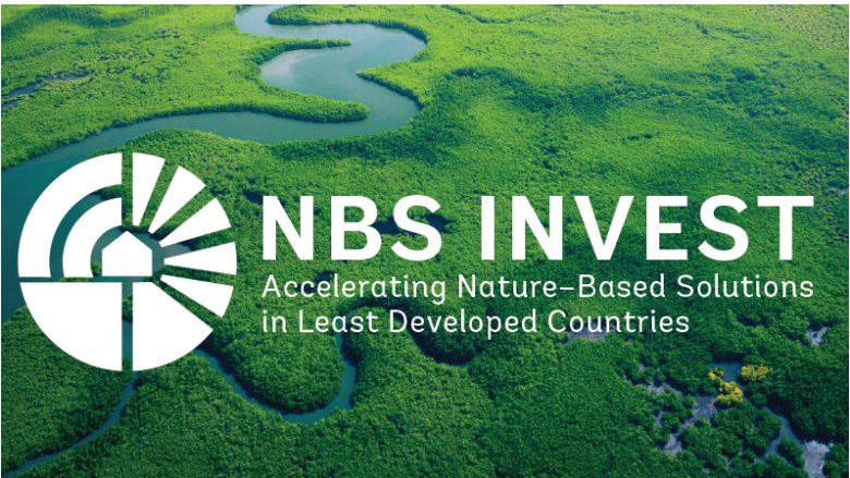 NBS Invest logo overlayed on aerial view of mangroves in The Gambia