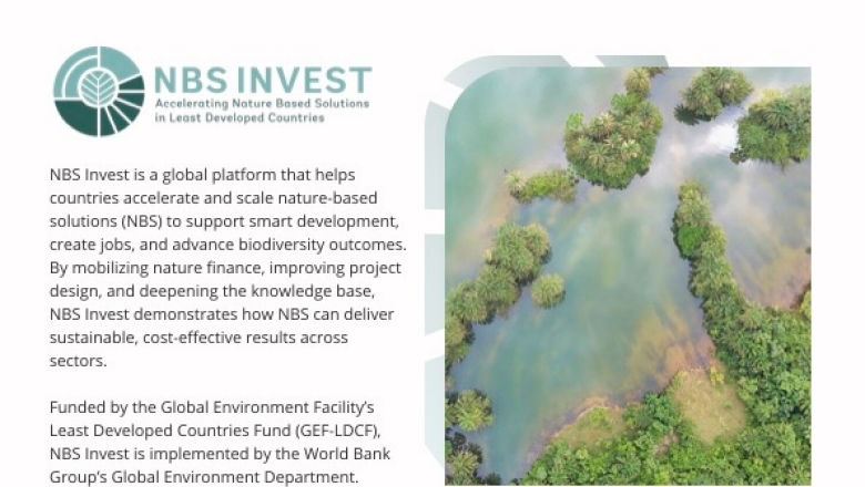 NBS-Invest-Brochure.jpg