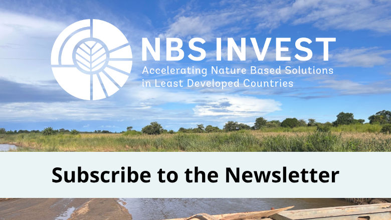 Graphic with text NBS Invest - Subscribe to the Newsletter. Background is a landscape in Malawi