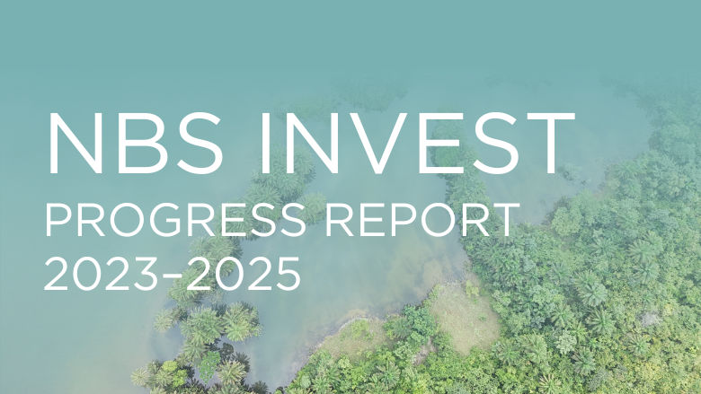 Birds-eye view of a landscape in Guinea, text overlay says NBS Invest Progress Report 2023-2025