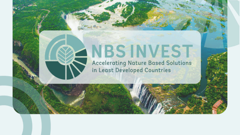 NBS Invest program image