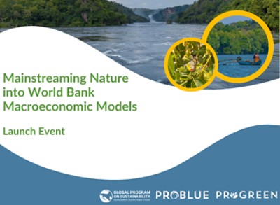 Mainstreaming Nature into World Bank Macroeconomic Models image