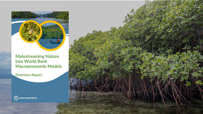 mangroves and report cover