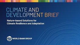 Climate and Development Brief - Nature-based Solutions