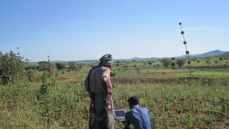 Malawi agriculture