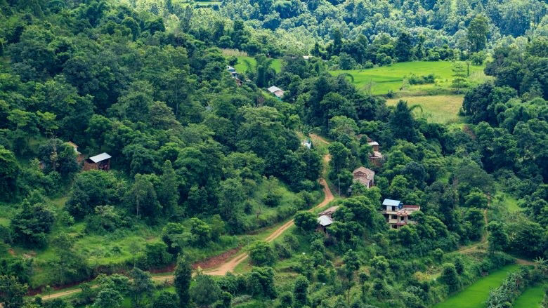 Nepal Forest and community
