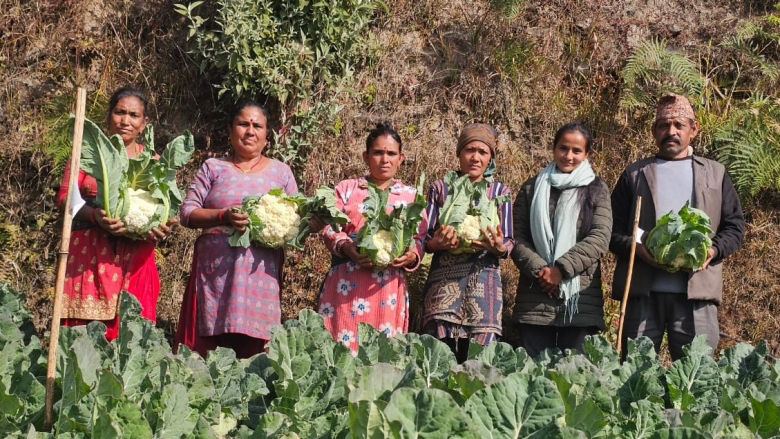 Farmers from Nepal hold cauliflowers they produced