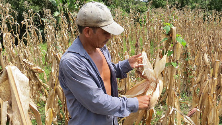 Nicaragua Dry Corridor Project