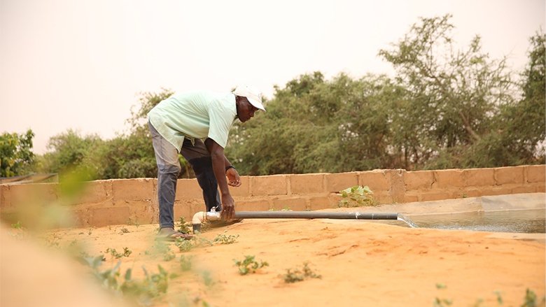 Solar energy brings water to Niger’s farms 
