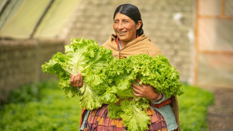 Agricultora en Bolivia muestra lechuga recien cosechada. Ella y otros 128.000 productores están sembrando de forma sostenible