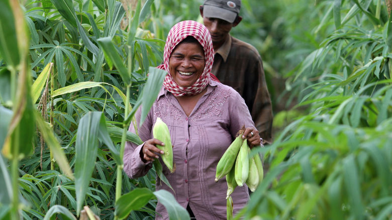 farmers walking across a green field