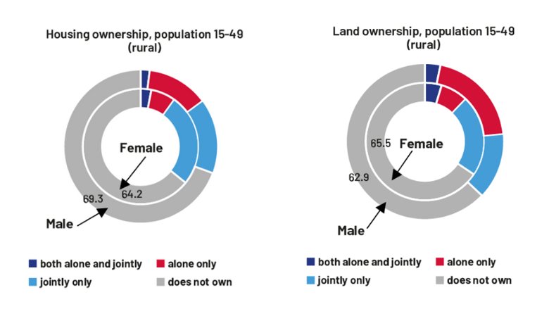 Ownership-of-Property-by-Gender.