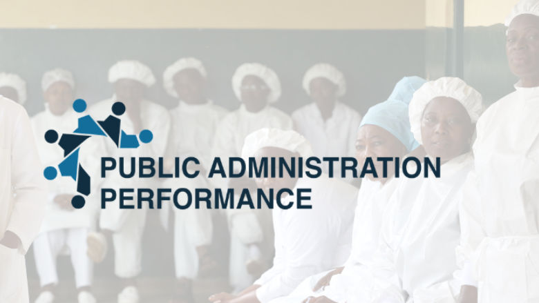 Public Administration Performance global program image