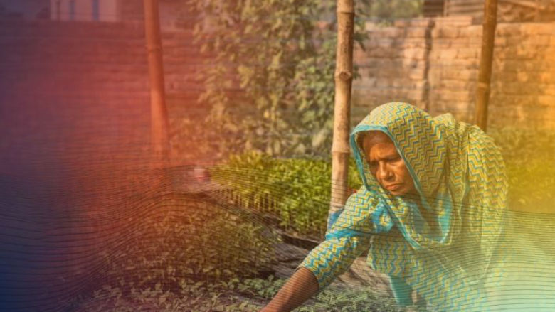 Partnership for Economic Inclusion