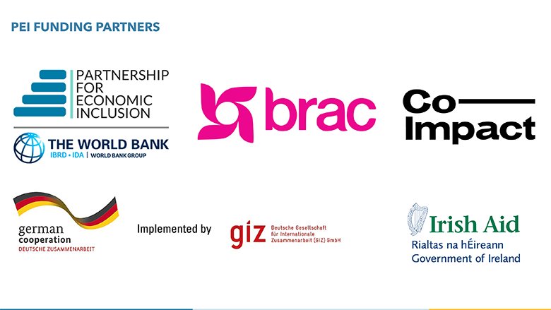 2023 Partnership for Economic Inclusion Workshop: Partners Logos