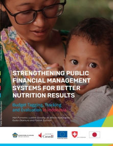 Indonesia reports on health