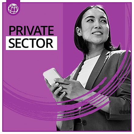 Private Sector