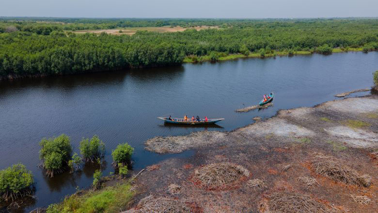 Mangroves in Ghana Anya Nui
