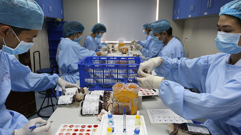 Medical technicians working with bags blood at Hanoi Blood Transfusion Center in Hanoi, Vietnam. Photo ? Dominic Chavez/World Bank