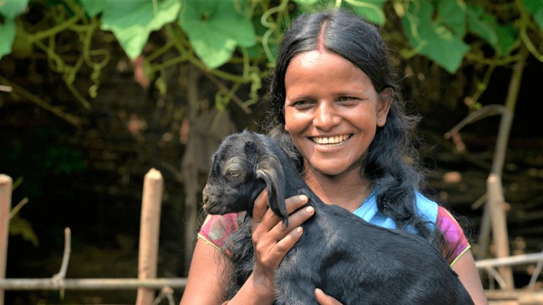 Jharkhand's Pashu Sakhis: The Community Animal Healthcare Workers