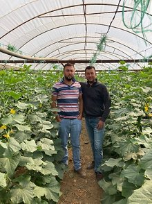 Twin brothers Göksel and Gökhan grow vegetables in greenhouse facilities in Izmir, Türkiye. They employ four workers in the g