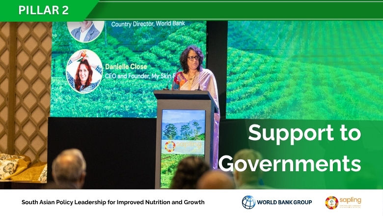 Sapling Pillar 2 - Support to Governments