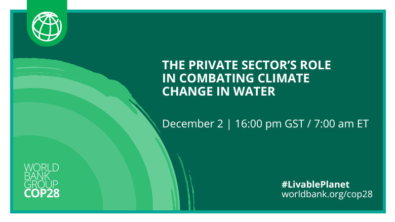 The Private Sector&rsquo;s Role in Combating Climate Change in Water