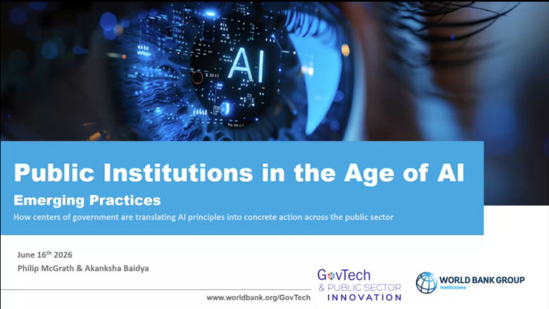 Public Institutions in the Age of AI