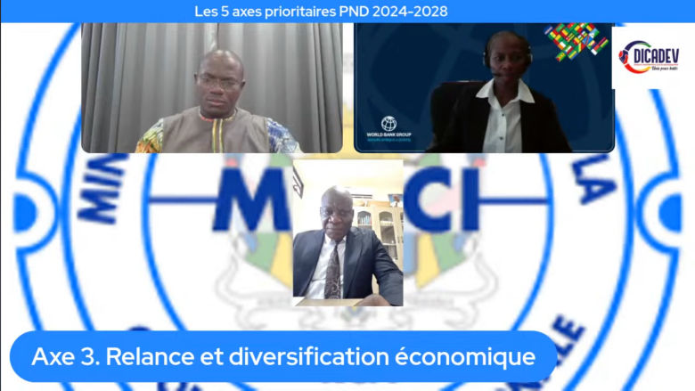 Mobiliser la diaspora pour une croissance inclusive : concertation stratégique entre Gouvernement, partenaires internationaux