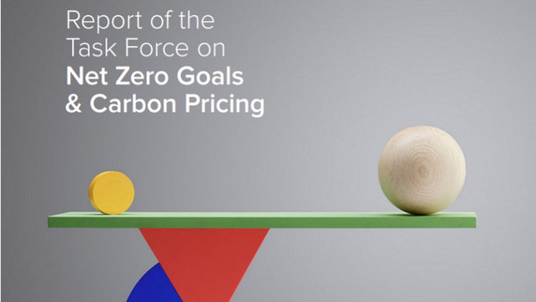 Report of the Task Force on Net Zero Goals and Carbon Pricing