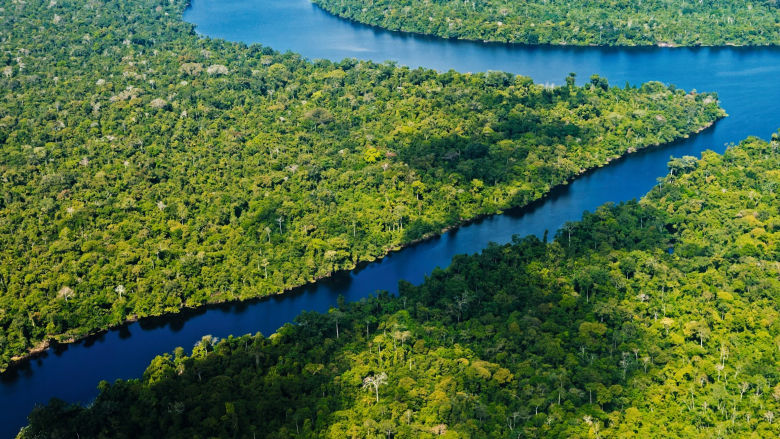 Reserva-Nacional-Pacaya-Samiria, Amazonia, Perú. Foto: Wust-EdicionesSERNAN