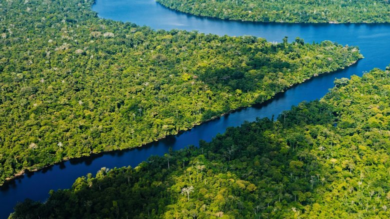 Reserva-Nacional-Pacaya-Samiria, Amazonia, Perú. Foto: Wust-EdicionesSERNAN