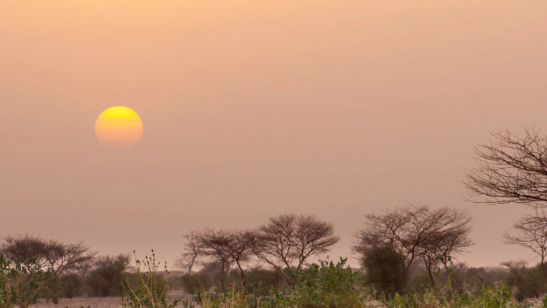 Landscape near the town of Massakory Chad