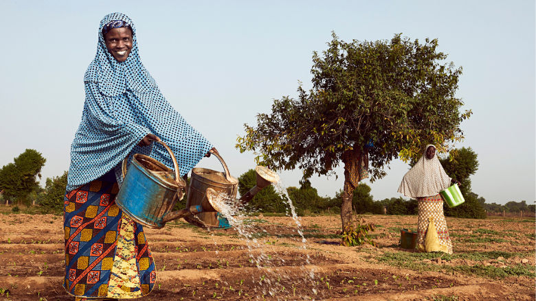 Restoring Land and Livelihoods in Niger’s Tahoua Region