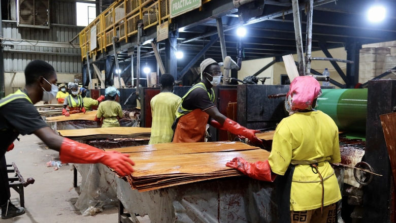 Roots and returns: How value-added timber can create jobs and keep Liberia's forests standing