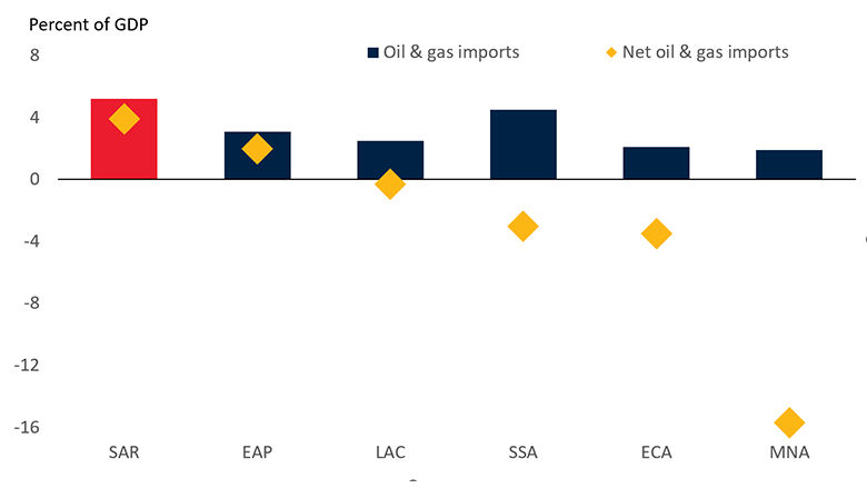 Chart: Oil and gas imports, 2024