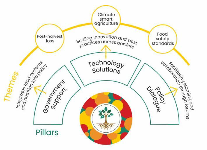 SAPLING Pillar and Themes infographic
