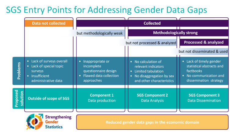 SGS Entry Points for Addressing Gender Data Gaps