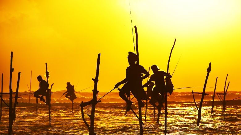 Stilt fishermen in Sri Lanka