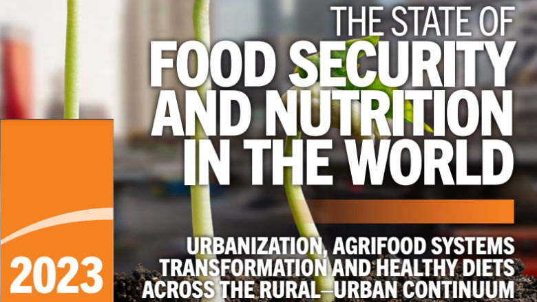 Food Prices for Nutrition DataHub: global statistics on the Cost and ...