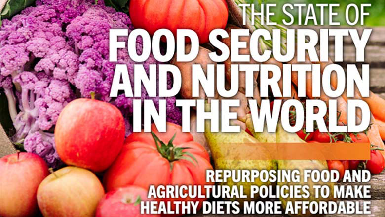Food Prices for Nutrition DataHub: global statistics on the cost and ...