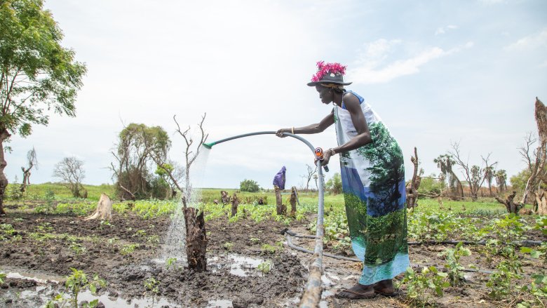 Farmer Achol in South Sudan