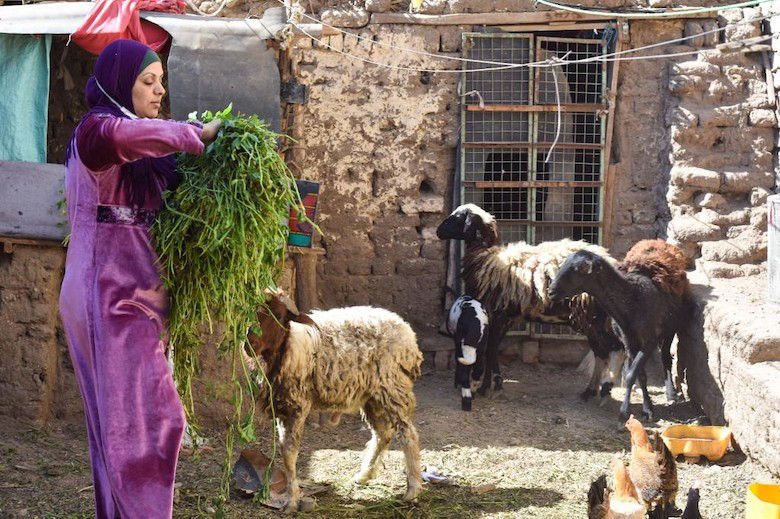 Sabreen IWD MENA 2023 Egypt