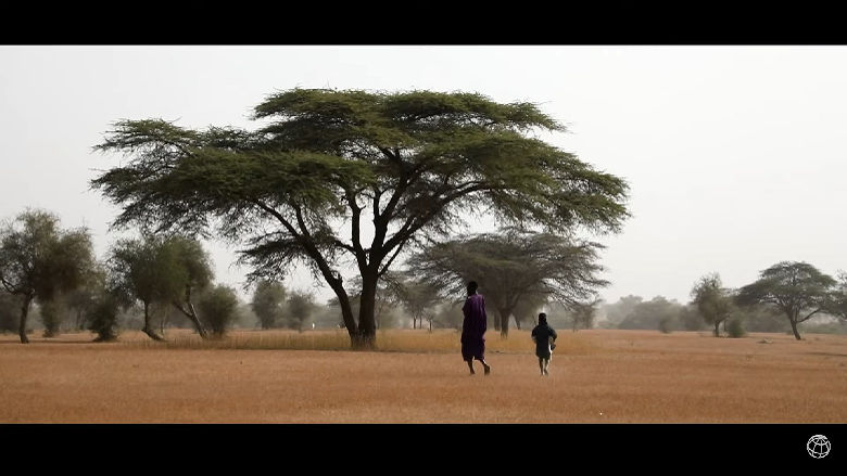 Man and child walking in a vast landscape with trees 