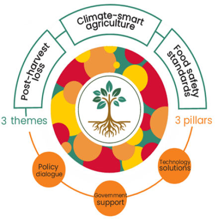 updated graphic of the Sapling pillars and themes