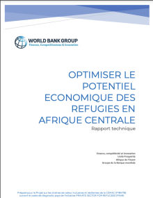 Economic potential of refugees in Central Africa