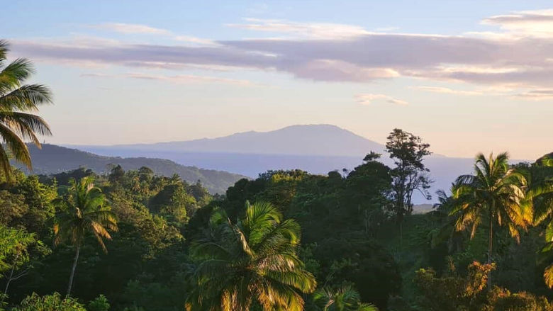 Image showing beautiful vegetation of St. Lucia
