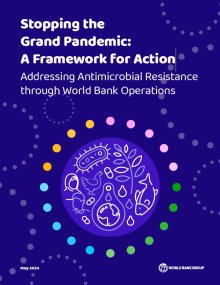 Stopping the Grand Pandemic: A Framework for Action