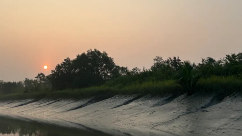 The Sundarban Wetland