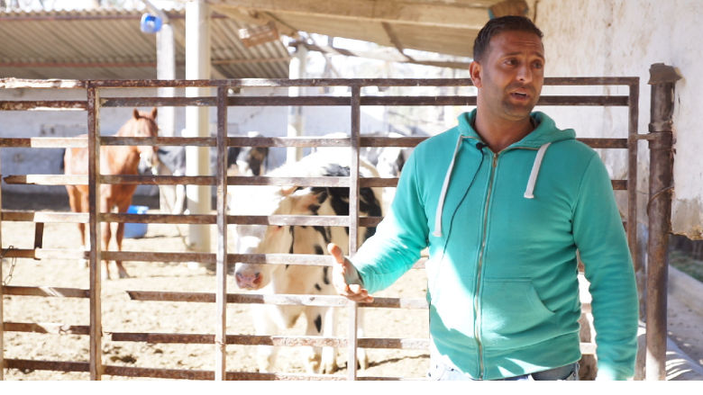 Agri-entrepreneur Tunisia